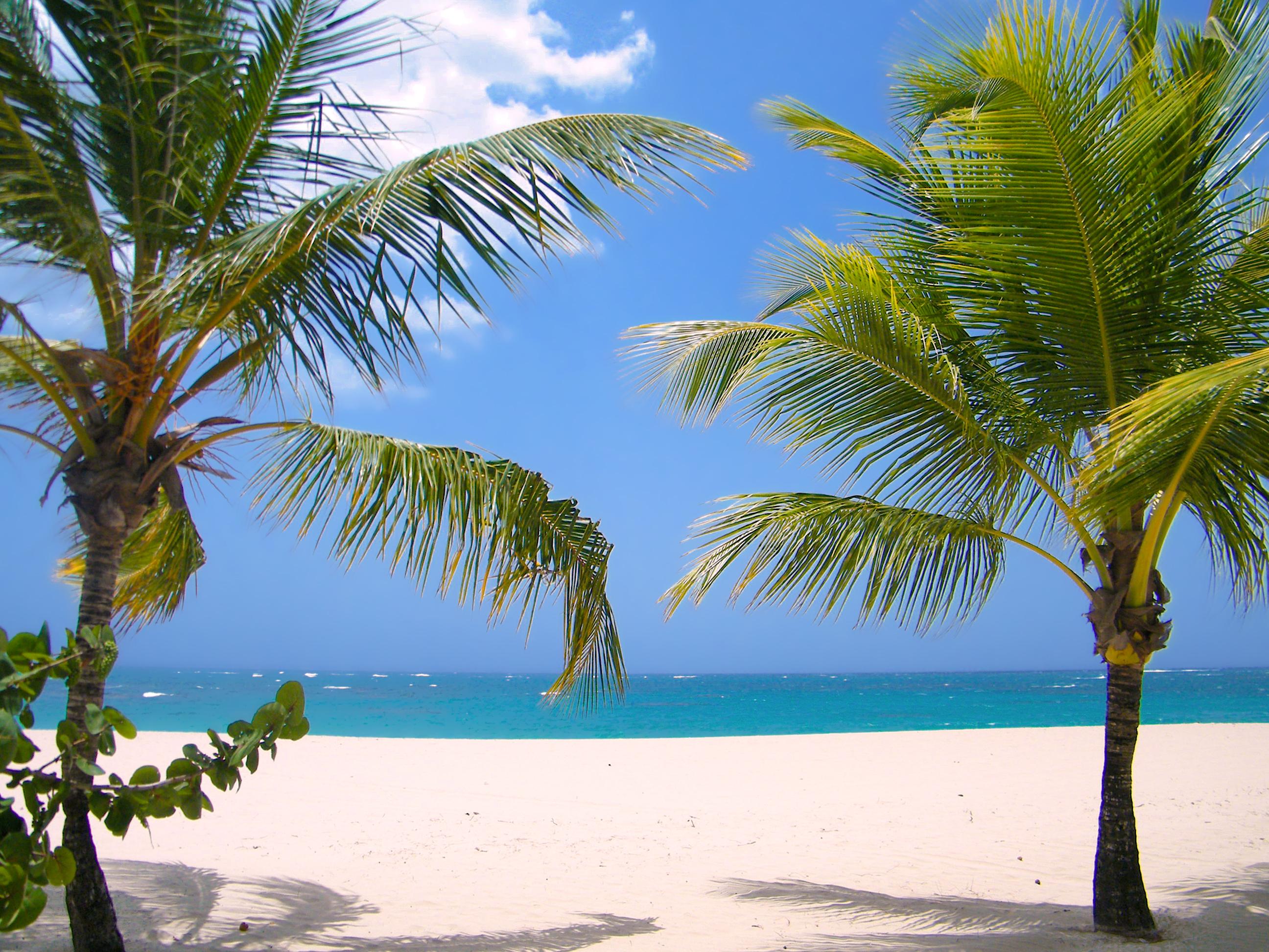 Viva Heavens By Wyndham, A Trademark All Inclusive (Adults Only) Пуэрто-Плата Экстерьер фото